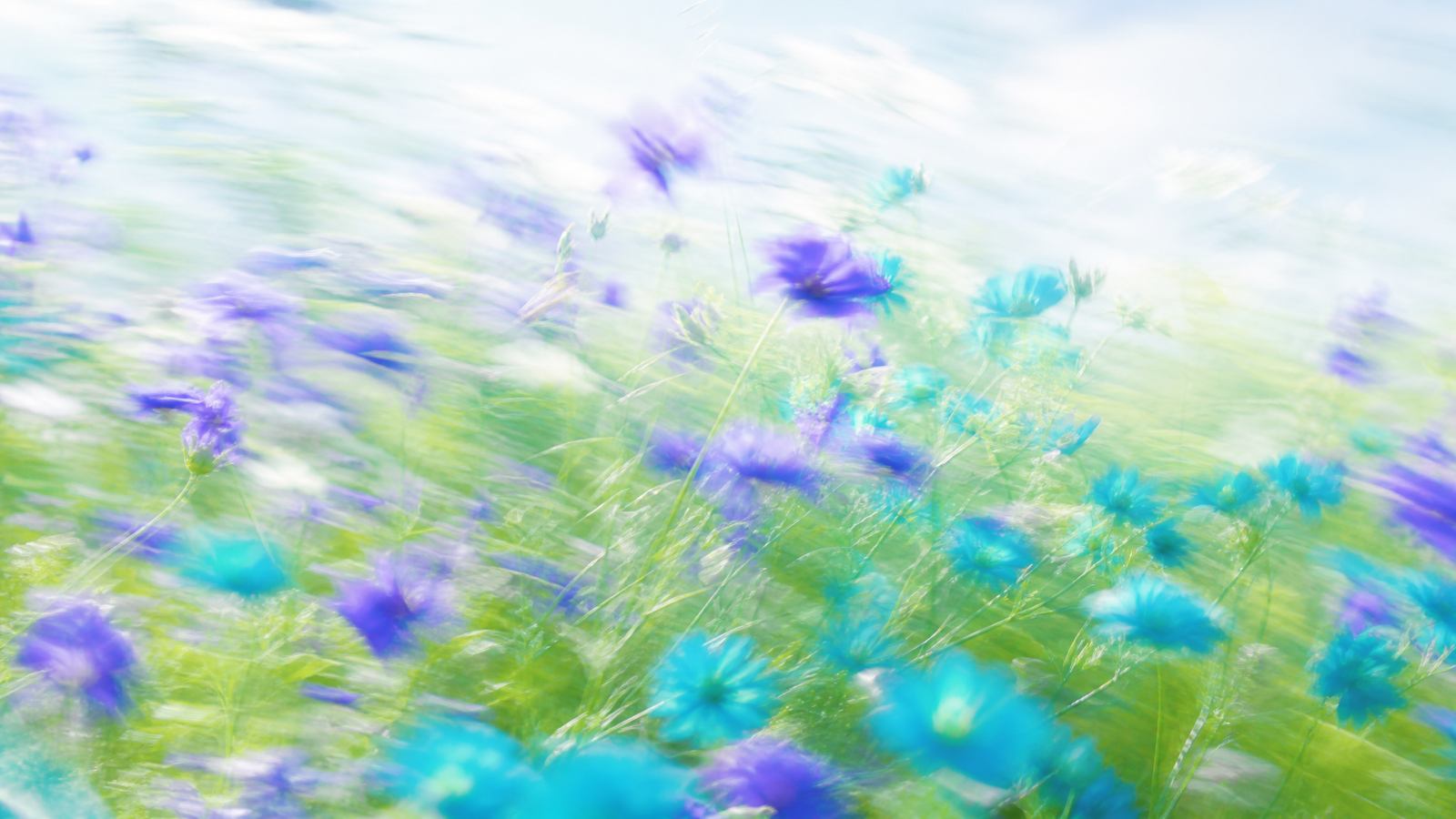 Bright airy impressionistic motion-blur wildflower meadow with indigo and teal blooms