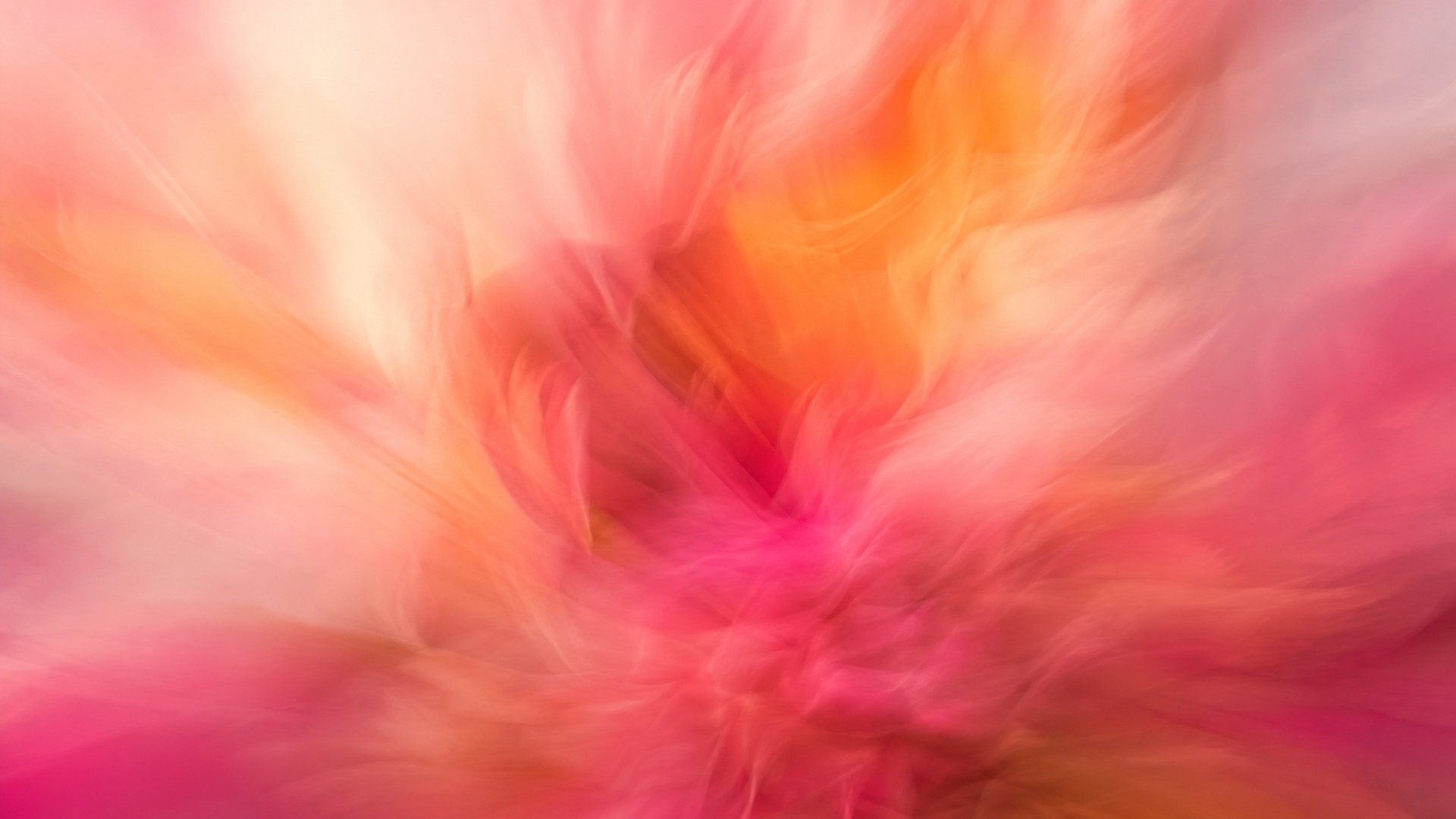 Abstract motion blur flowers in pink and coral tones