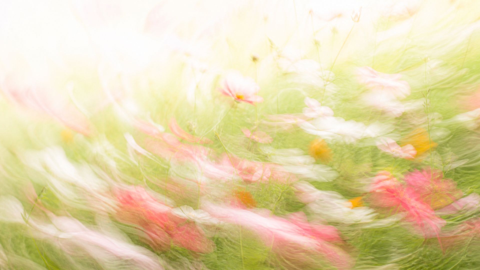 Bright impressionistic motion-blur wildflower meadow