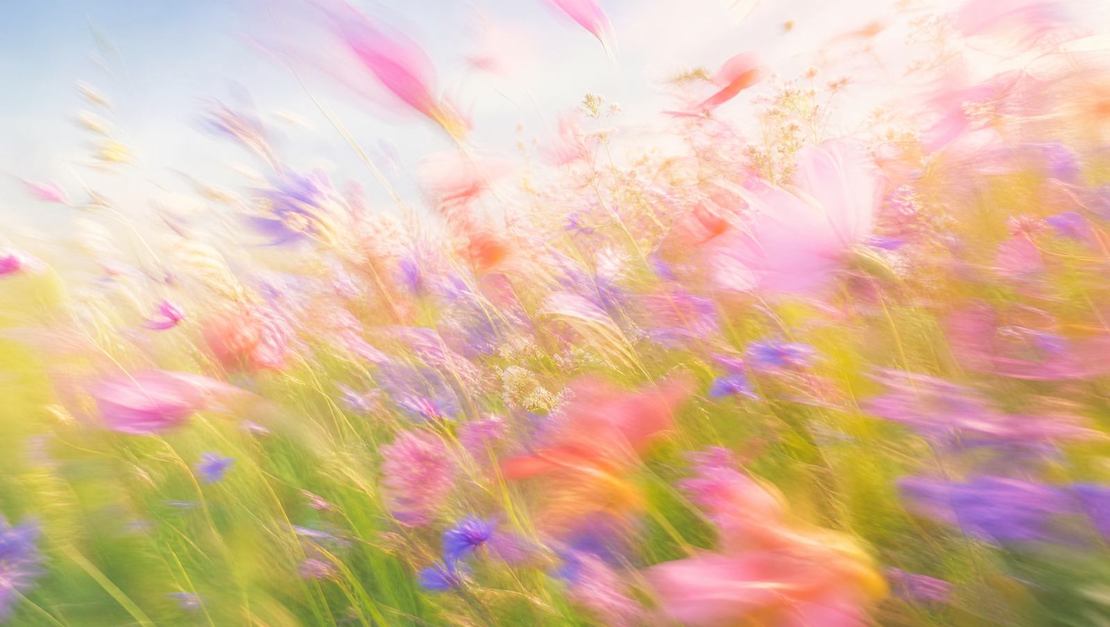 Dreamy high-key motion-blur wildflower meadow with soft magenta-pink, peach and violet blooms