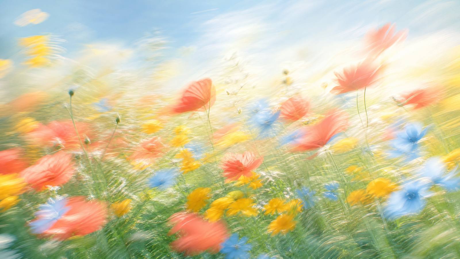 Dreamy high-key motion-blur wildflower meadow with coral, sky-blue and gold blooms