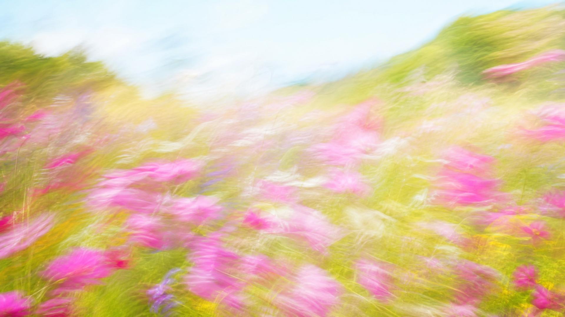 Bright impressionistic motion-blur wildflower meadow