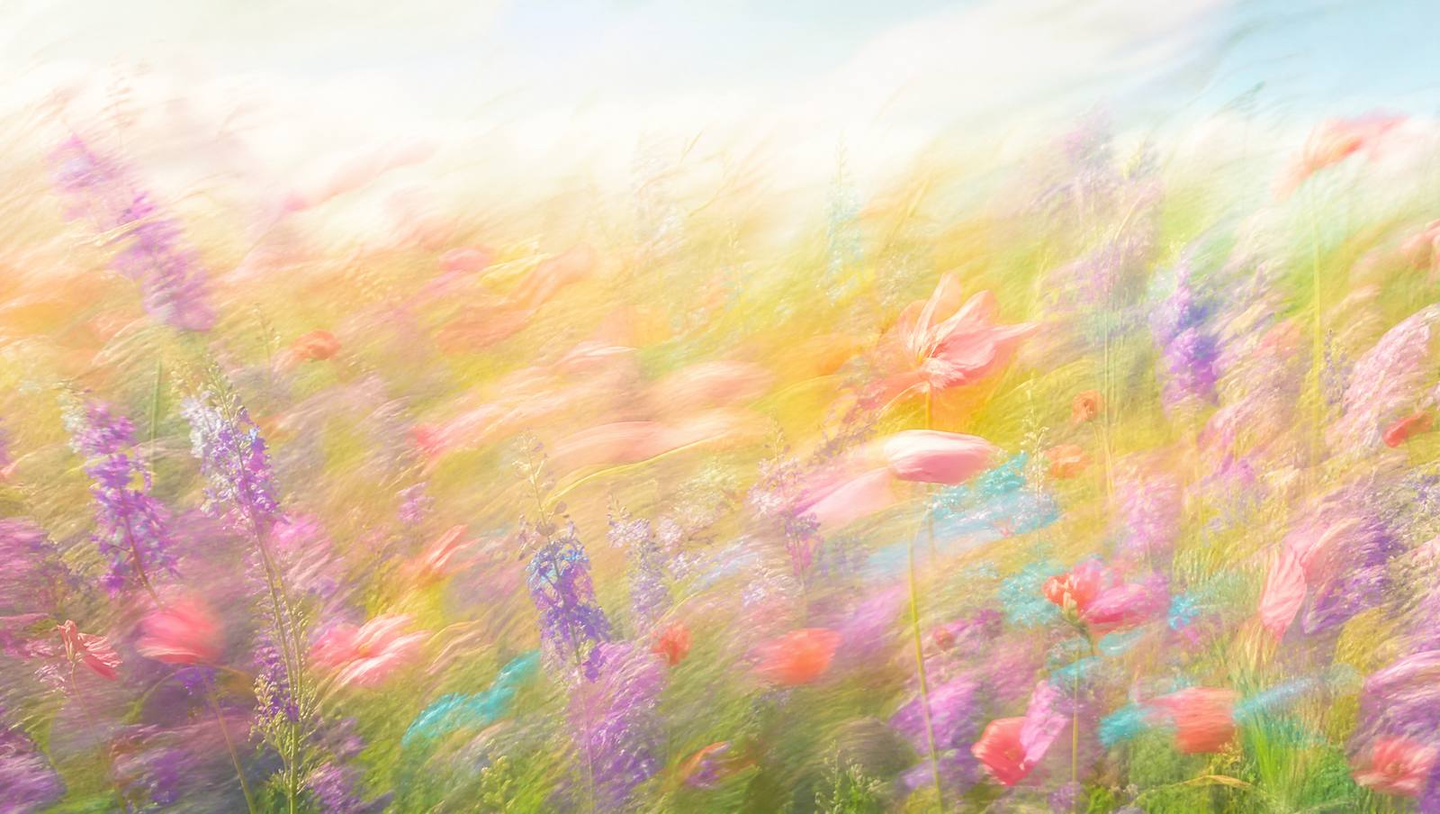 Dreamy high-key motion-blur wildflower meadow with lavender, rose and teal blooms