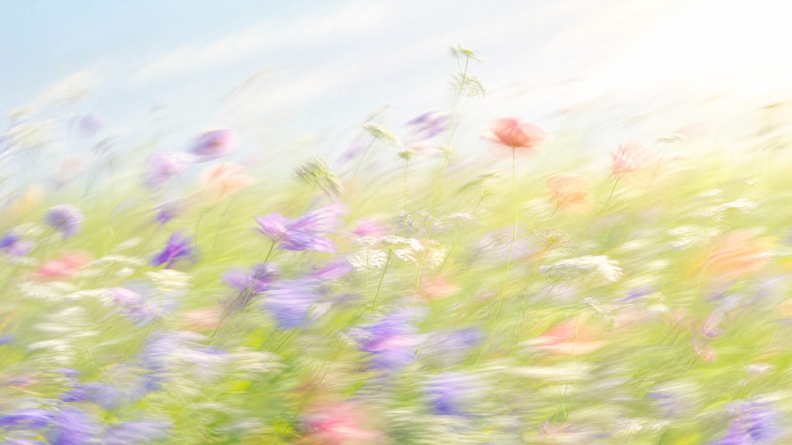 Impressionistic motion-blur wildflower meadow in lavender, mint, peach and white