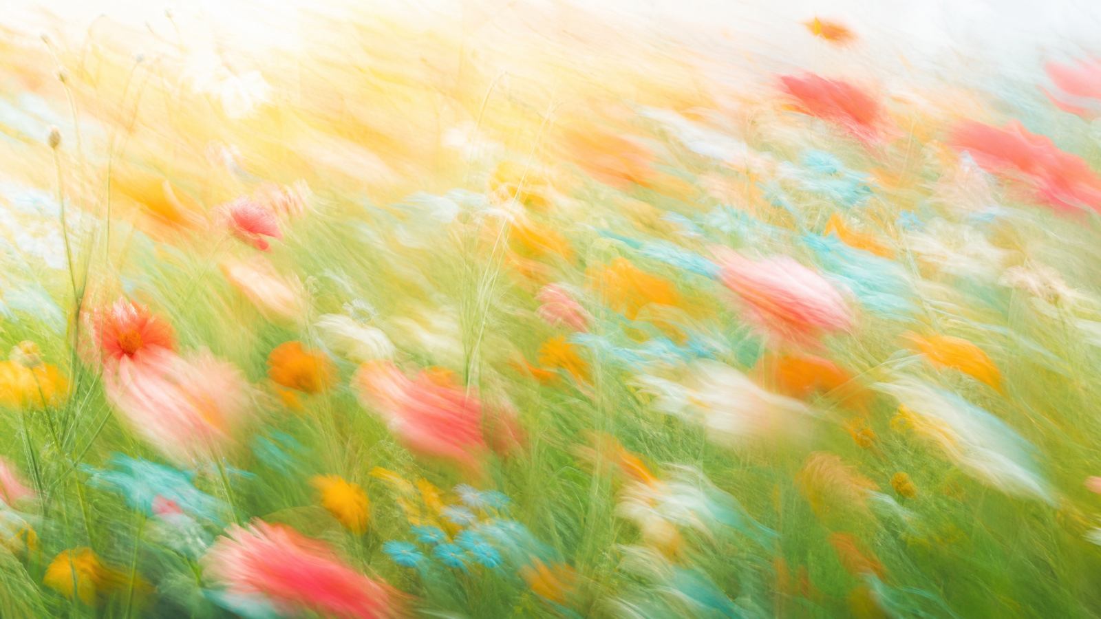 Impressionistic wildflower meadow hero for Flowjam's 2026 guide to AI video ads.