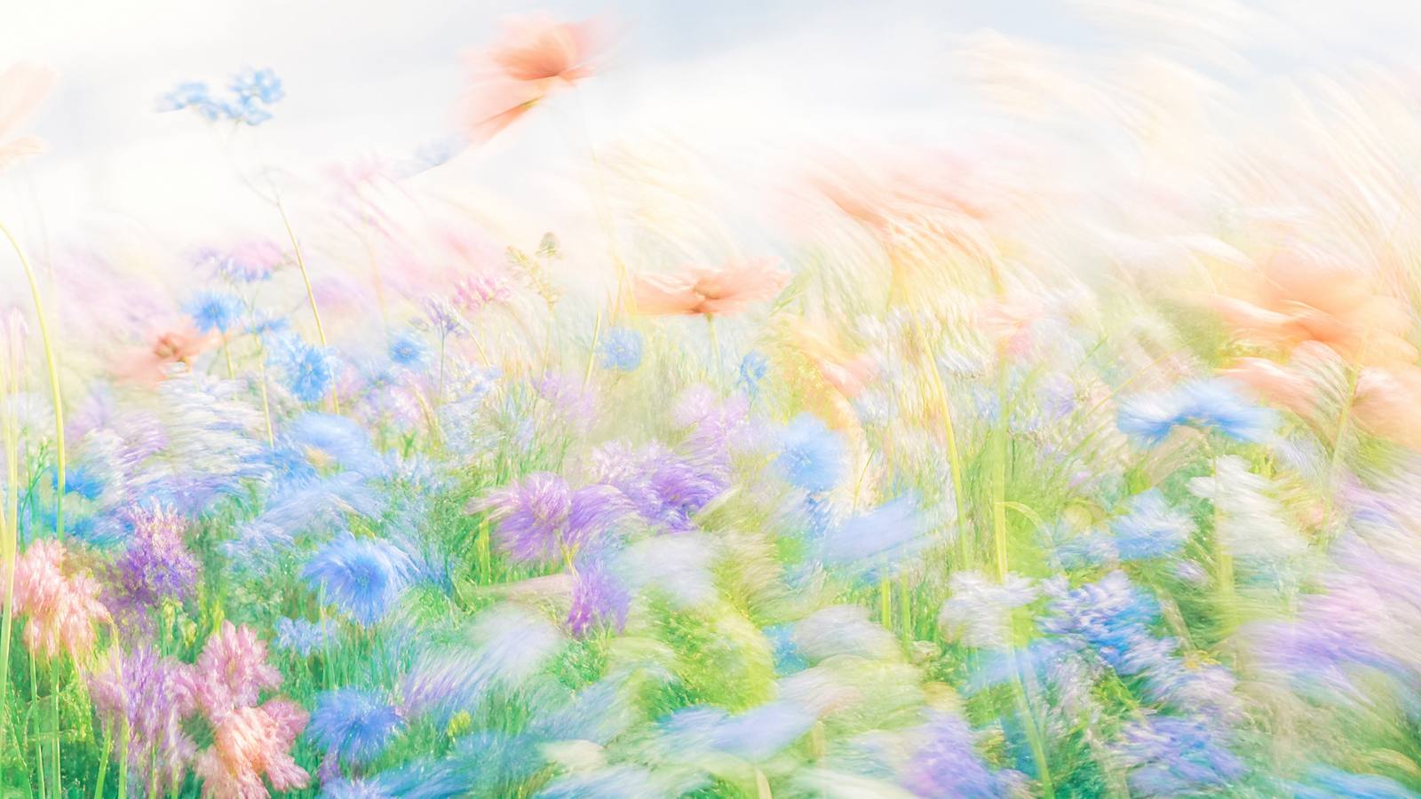 Impressionistic motion-blur wildflower meadow in periwinkle, soft peach, mint and lilac