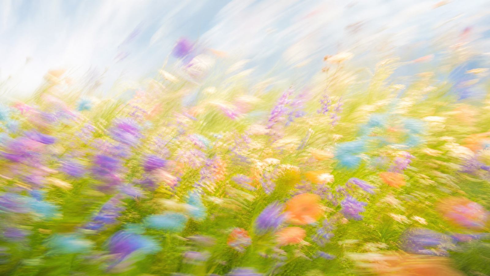 Impressionistic motion-blur wildflower meadow in violet, aqua and apricot