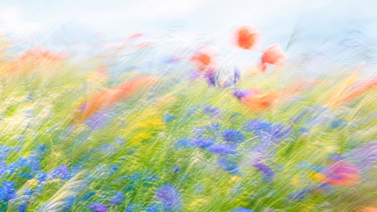 Bright airy high-key motion-blur wildflower meadow in soft indigo, teal, coral and warm gold