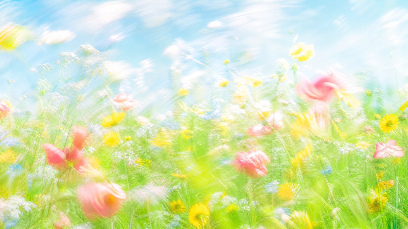Impressionistic wildflower meadow hero for Flowjam's 2026 guide to the best free AI avatar video tools.