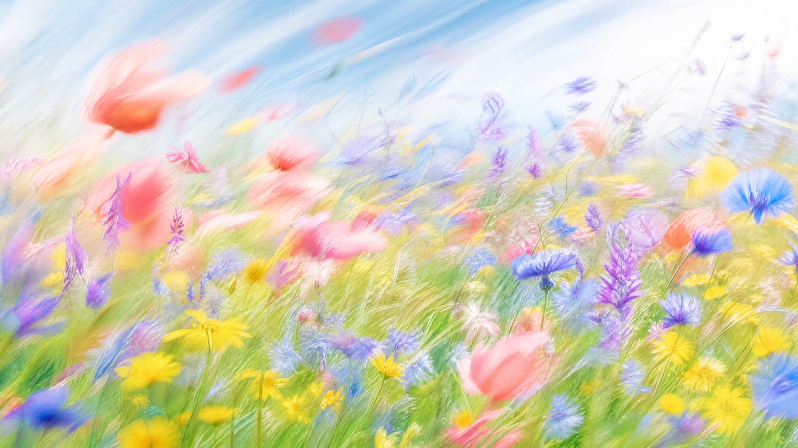 Bright impressionistic wildflower meadow hero image for the Flowjam guide to writing a video ad script with AI
