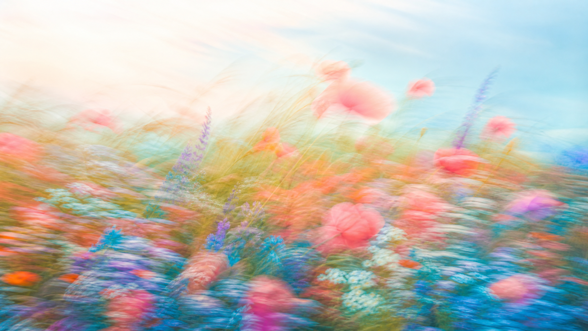 Bright impressionistic wildflower meadow hero image for the Flowjam guide to making a TikTok ad with AI