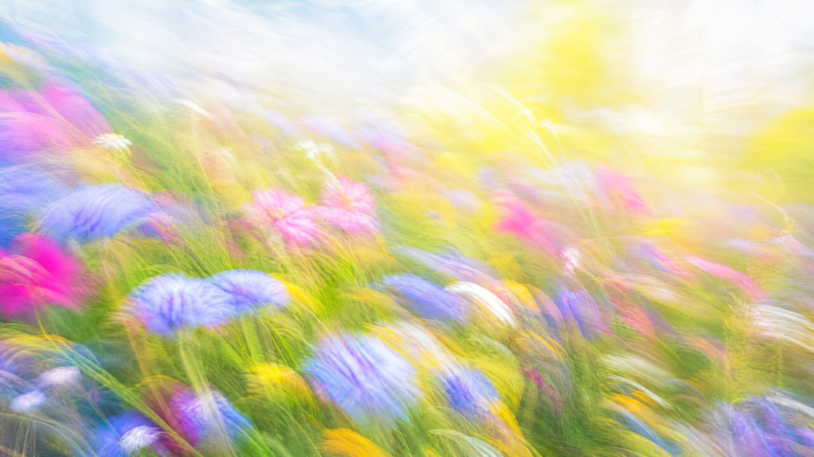 Impressionistic motion-blur wildflower meadow in periwinkle, magenta, soft teal and pale gold