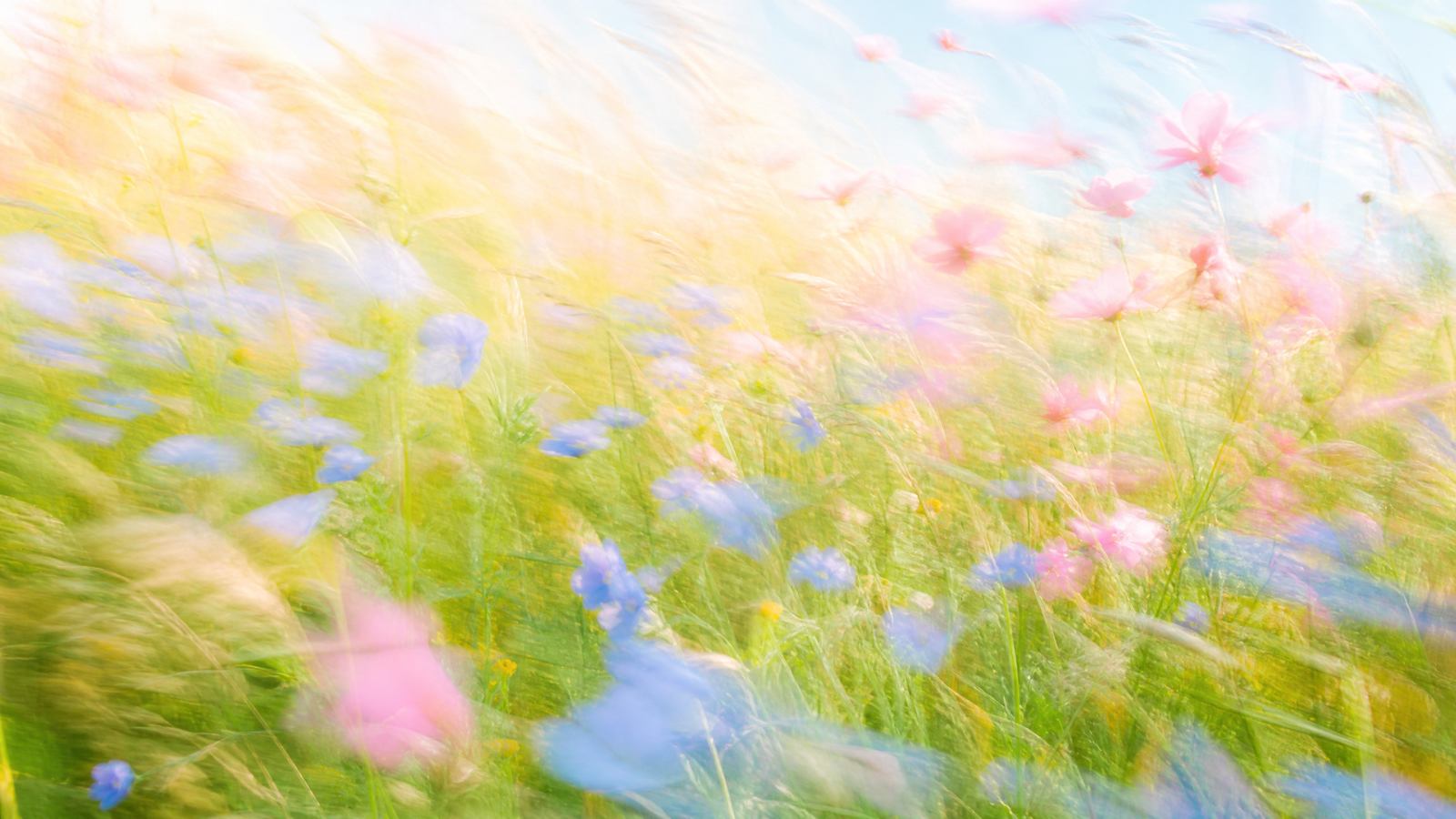 Impressionistic motion-blur wildflower meadow in periwinkle, blush pink, mint and pale gold