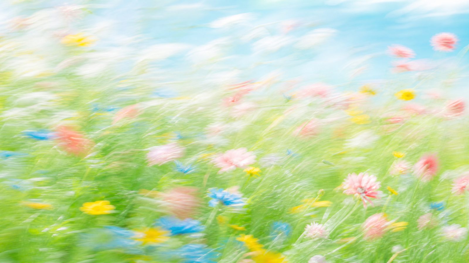Impressionistic wildflower meadow hero for Flowjam's 2026 guide to the best free AI video generators.