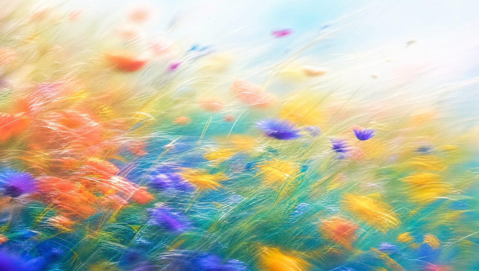 Impressionistic wildflower meadow in warm coral, gold, indigo and teal