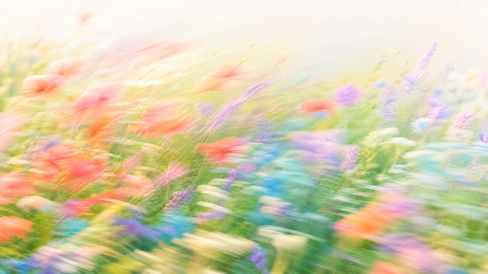 Impressionistic motion-blur wildflower meadow in coral, lavender, aqua and ivory