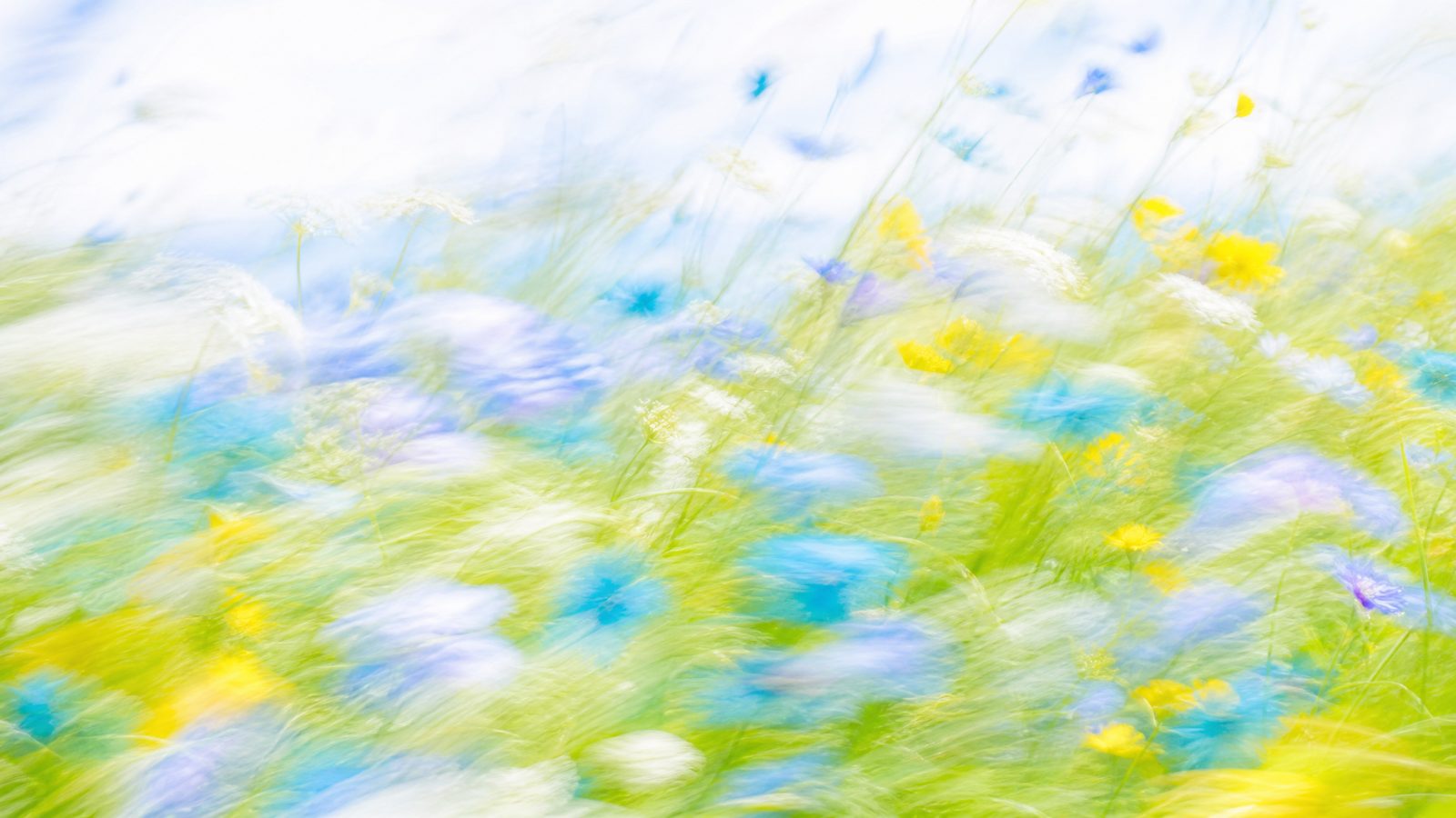 Impressionistic motion-blur wildflower meadow in lavender, teal and coral