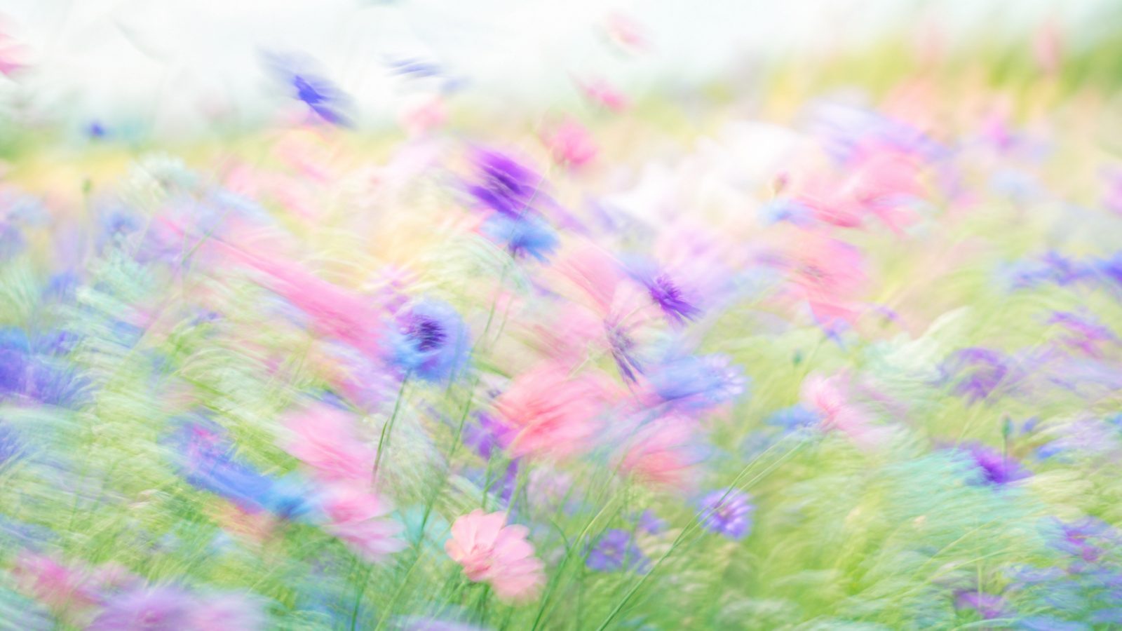 Impressionistic wildflower meadow hero for Flowjam's 2026 guide to the best AI avatar video tools.