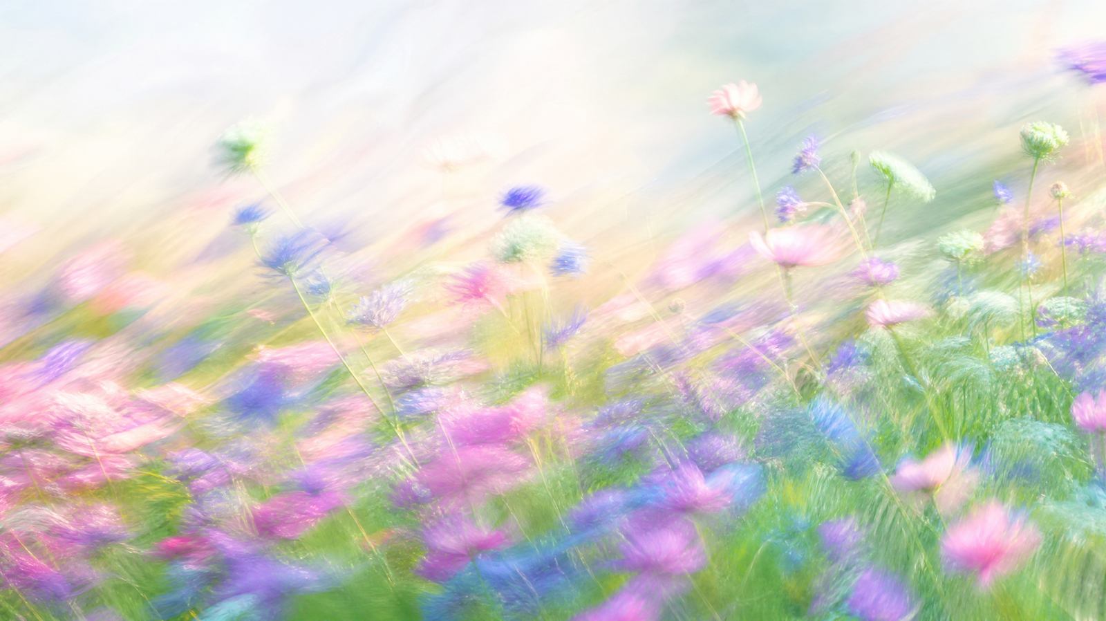 Impressionistic wildflower meadow hero for Flowjam's 2026 complete guide to making AI videos.
