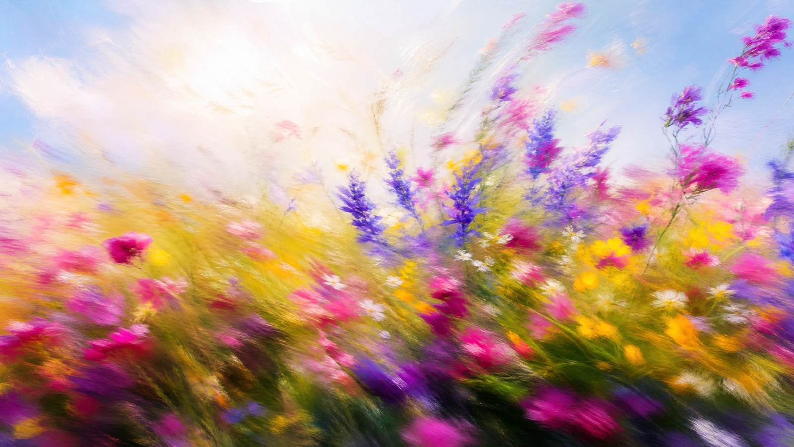 Bright airy impressionistic wildflower meadow in magenta, violet and gold, high-key light