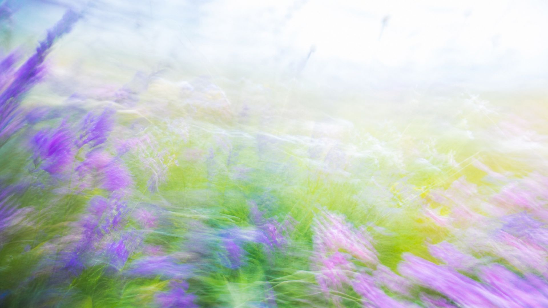 Bright impressionistic motion-blur wildflower meadow
