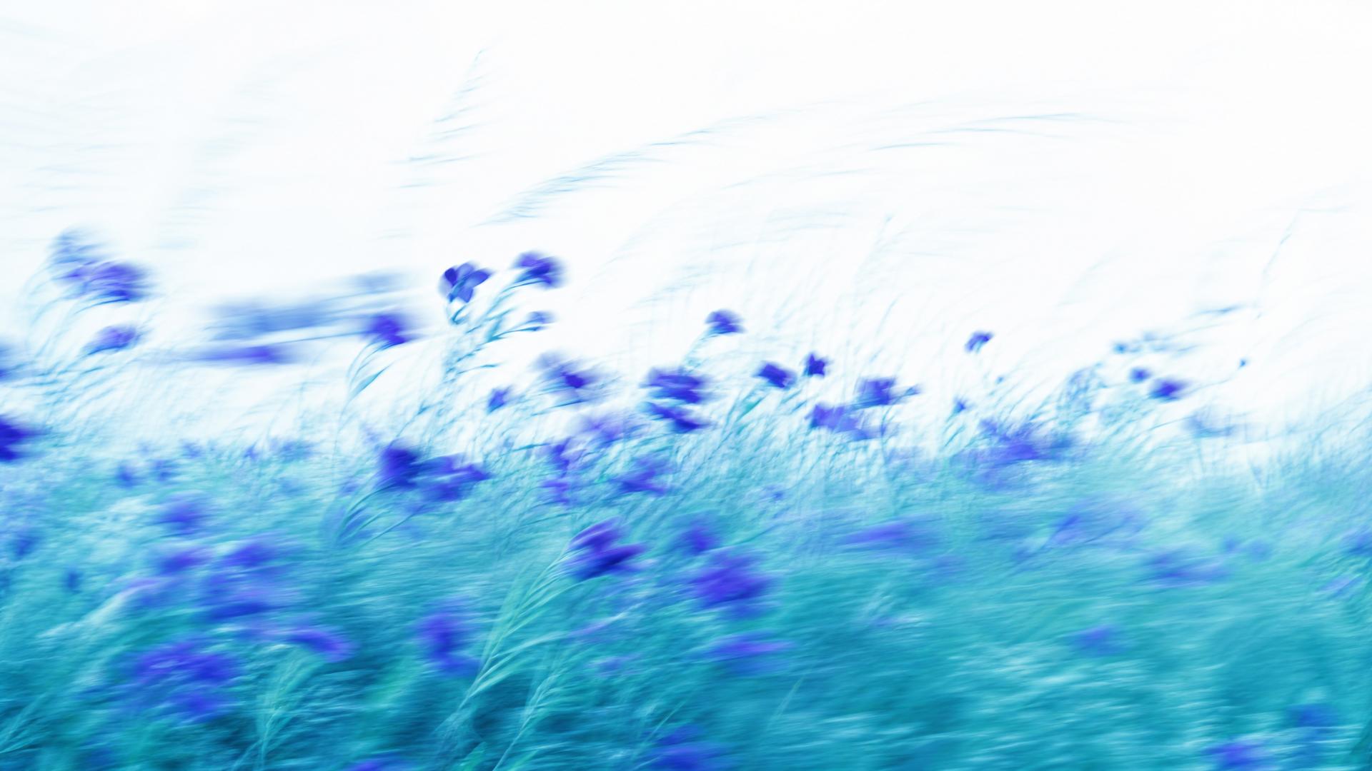 Dreamy high-key motion-blur wildflower meadow in indigo and teal